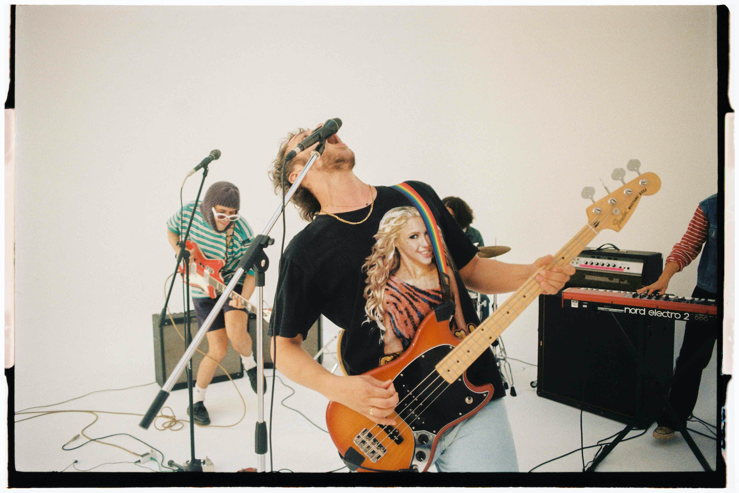 The parrots Amigos press shot no credit given