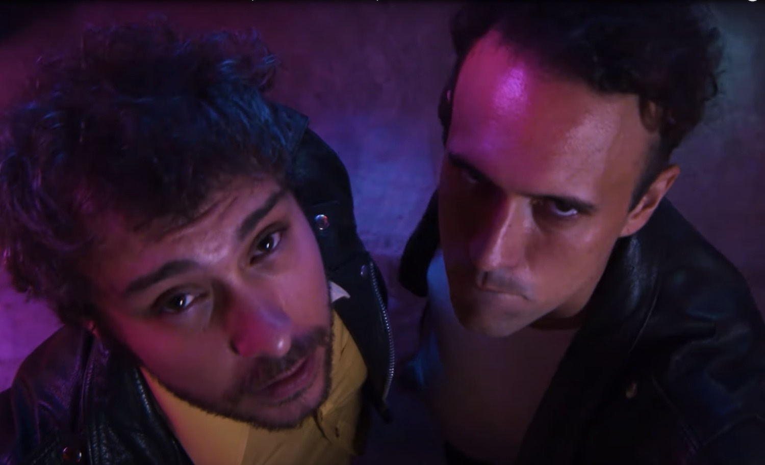 The parrots its too late to go to bed video youtube