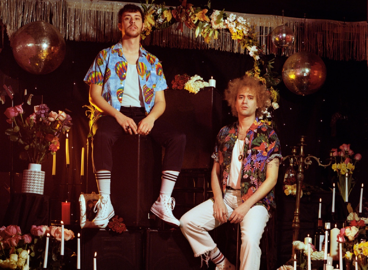 The parrots mar18