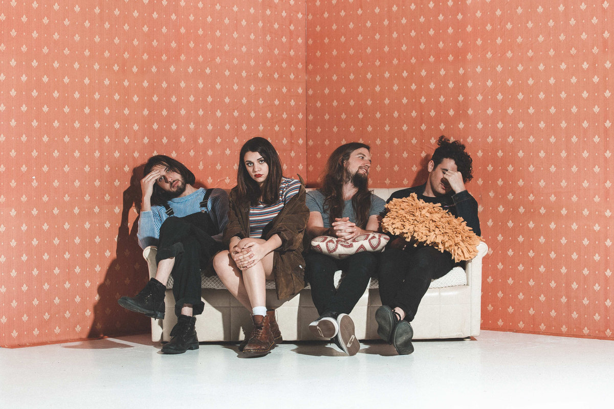 Tired lion sept17 landscape