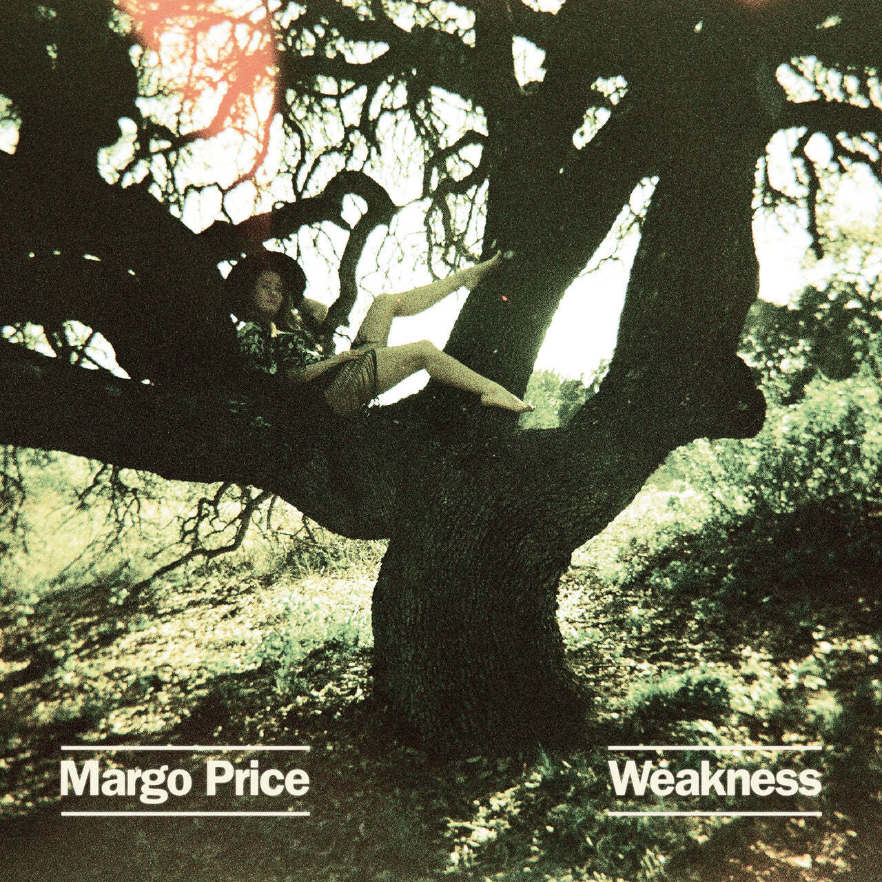 Tmr 502 a b margoprice ep weakness cover 2k 1280x