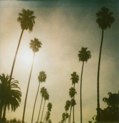 Tumblr m1i23kshe U1qihlhio1 500