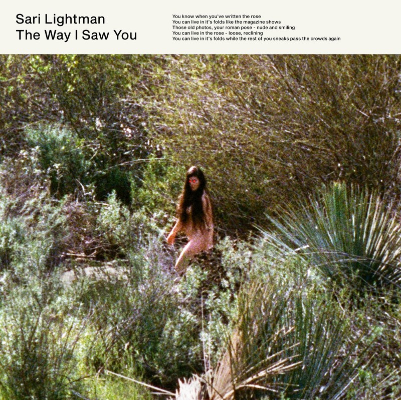 Sari Lightman The Way I Saw You