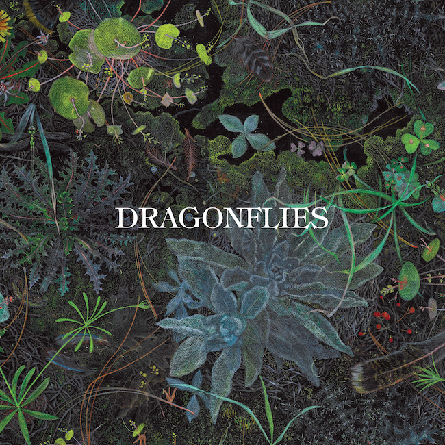 Dragonflies album cover