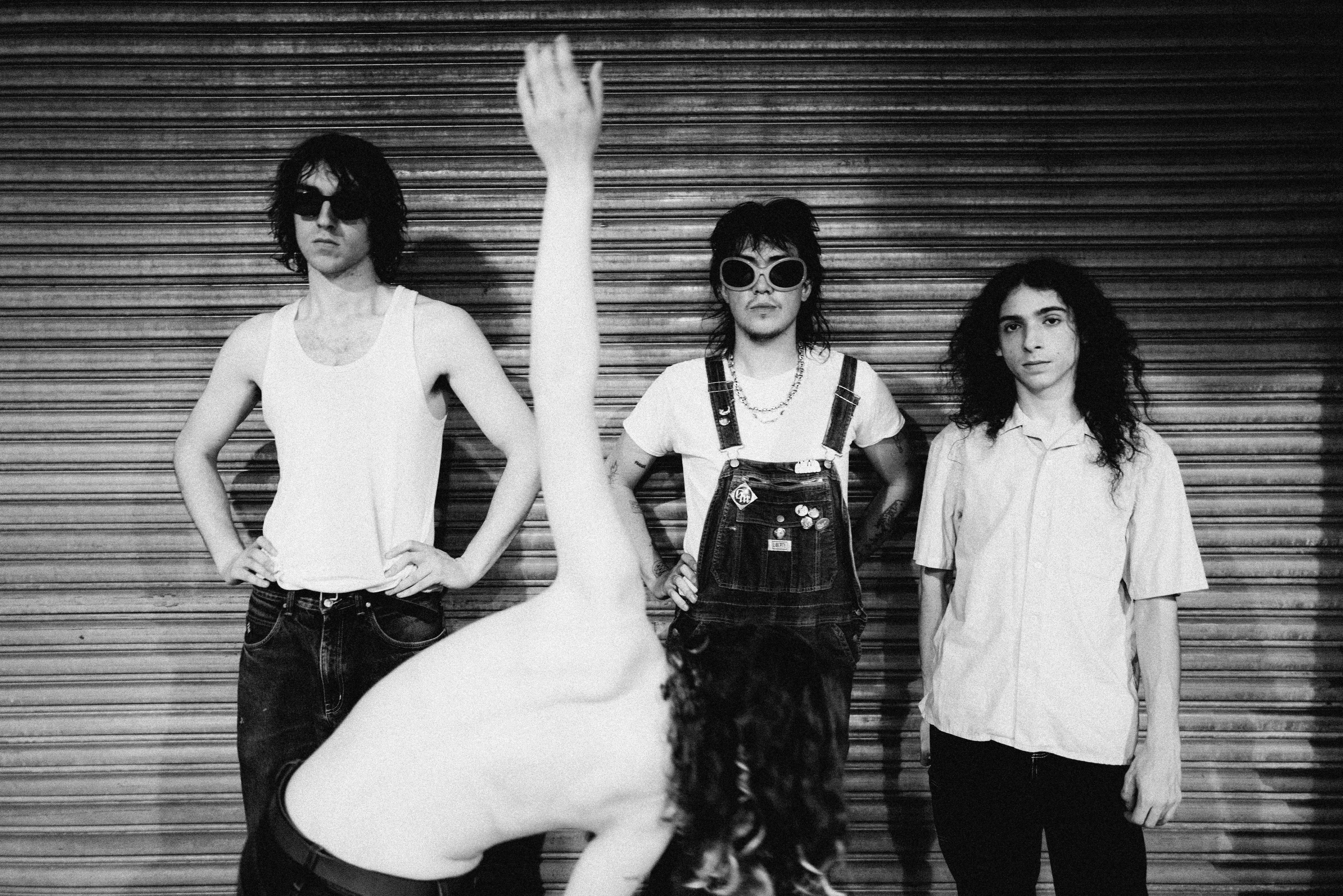 Geese press shot 2025