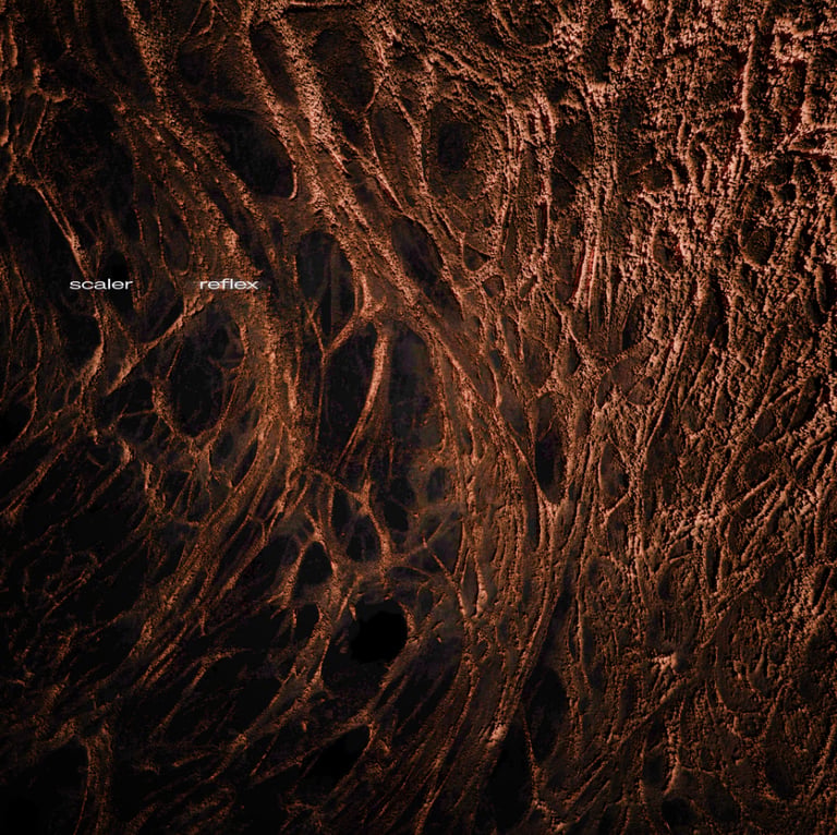 Scaler EP artwork