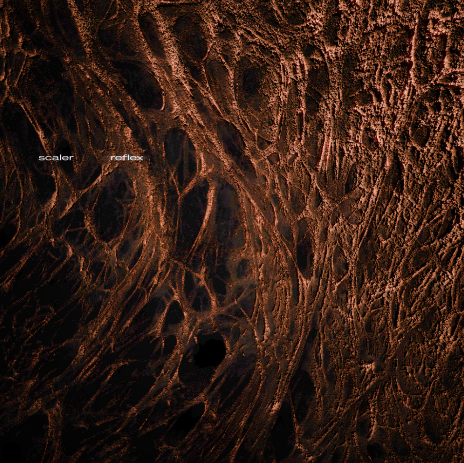 Scaler EP artwork