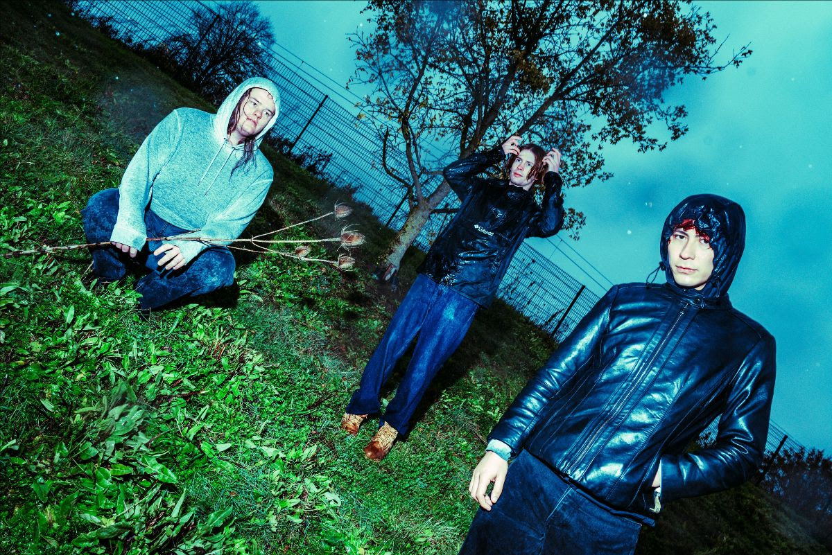 thistle. Lisa Ooijevaar