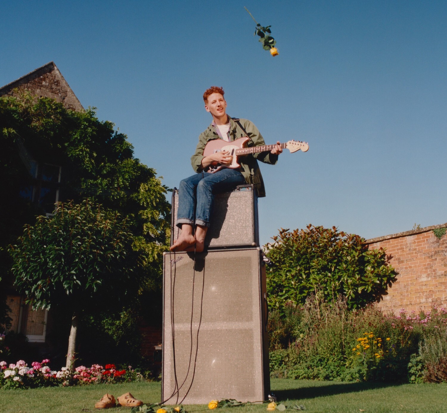 Willie j healey True Stereo 002