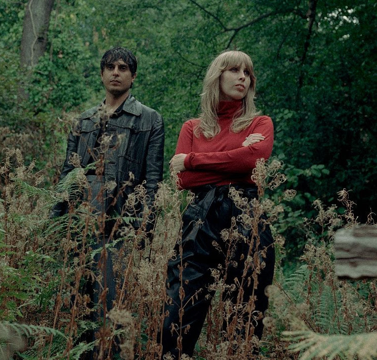 Wings of desire forest 2023