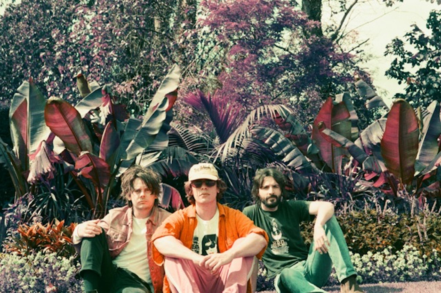 Yak Atlas complex Photo