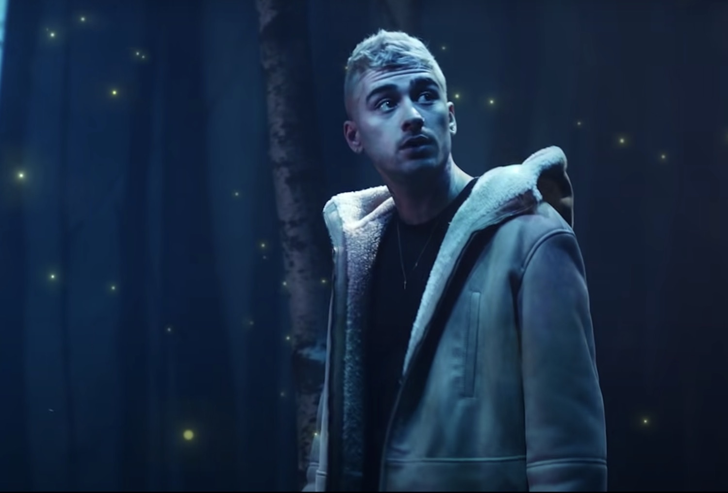 Zayn vibez video 2021