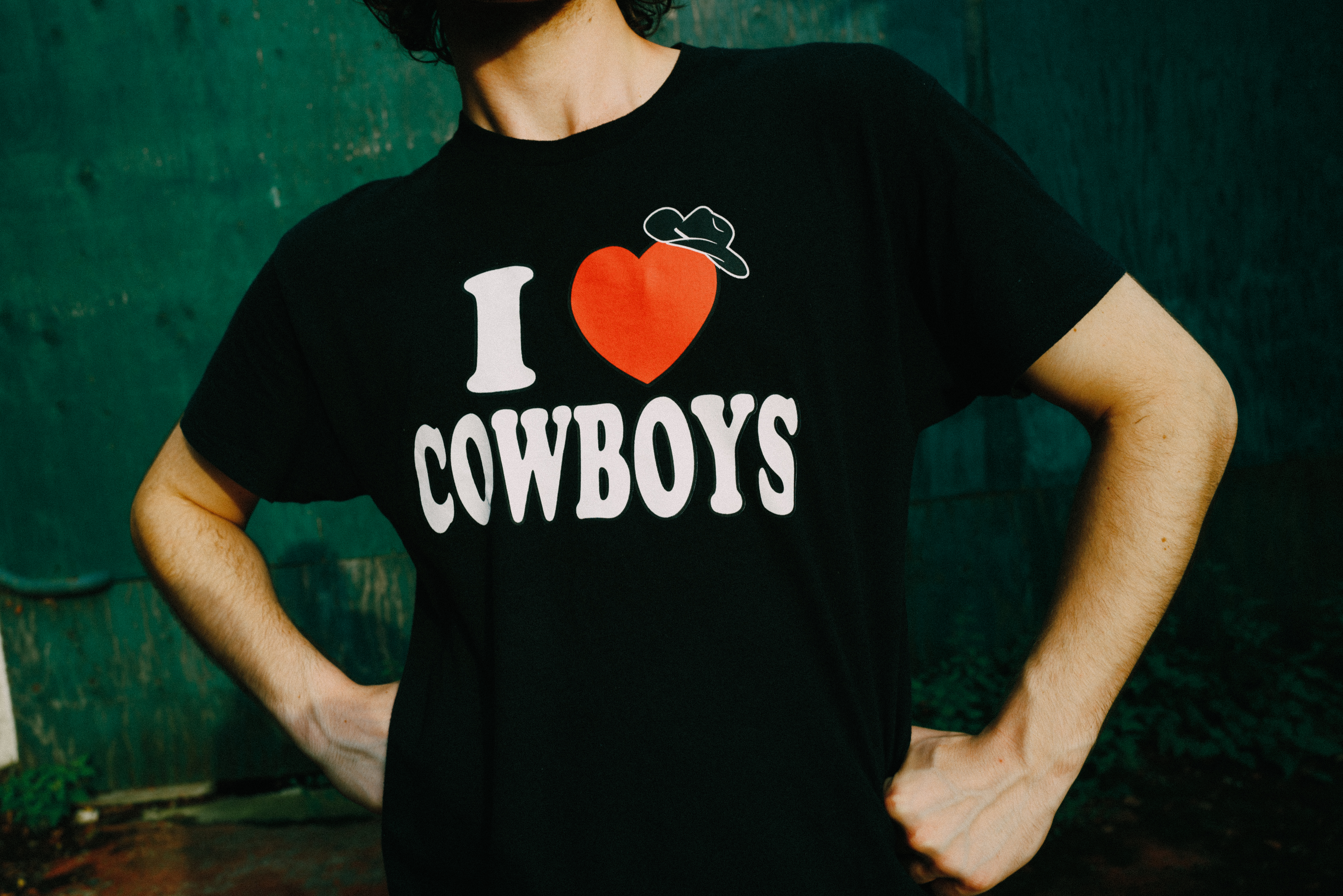 Cameron winter by lewis evans GEESE29237