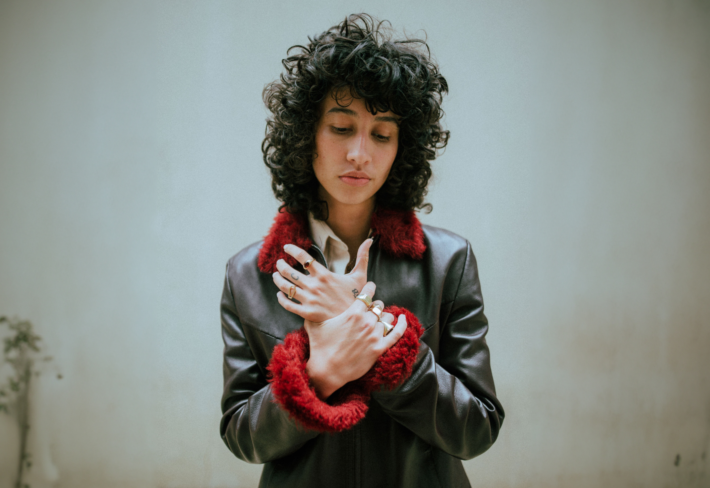 Towa bird second image