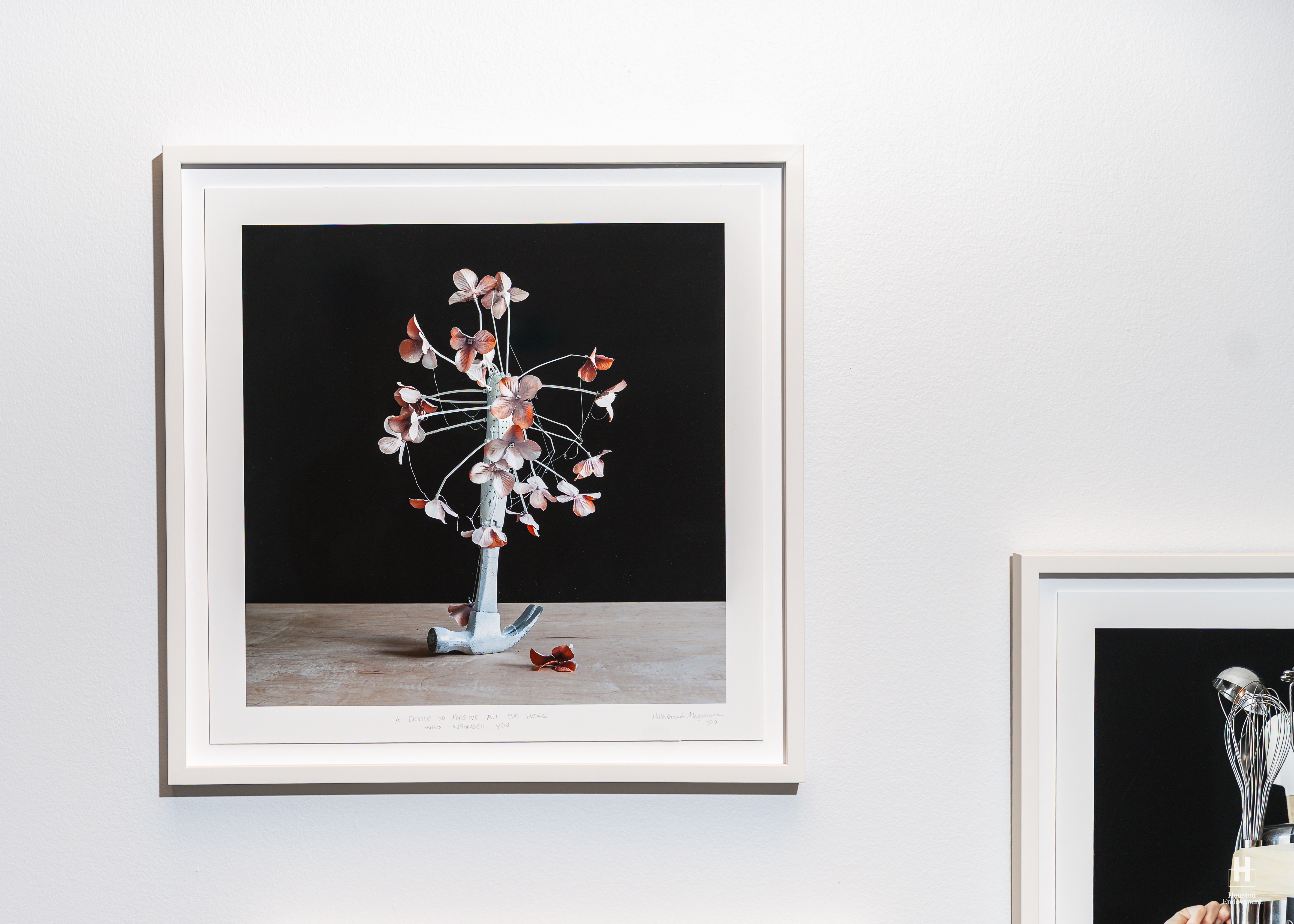 White-framed photo showing a hammer used as a vase with pale pink petals on thin wire stems, on a wooden table against a black background.