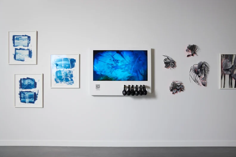 24 04 12 Nicki Evans Photo Weingarten Art Group Houston Endowment0840 2