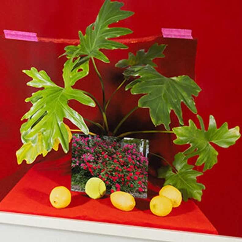 Weingarten Art Group rotating installation at Houston Endowment Inc.