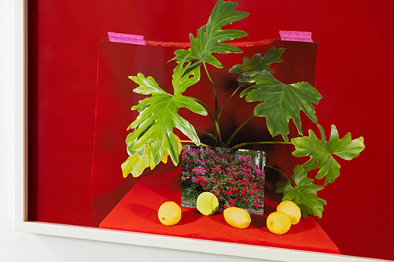 Weingarten Art Group rotating installation at Houston Endowment Inc.