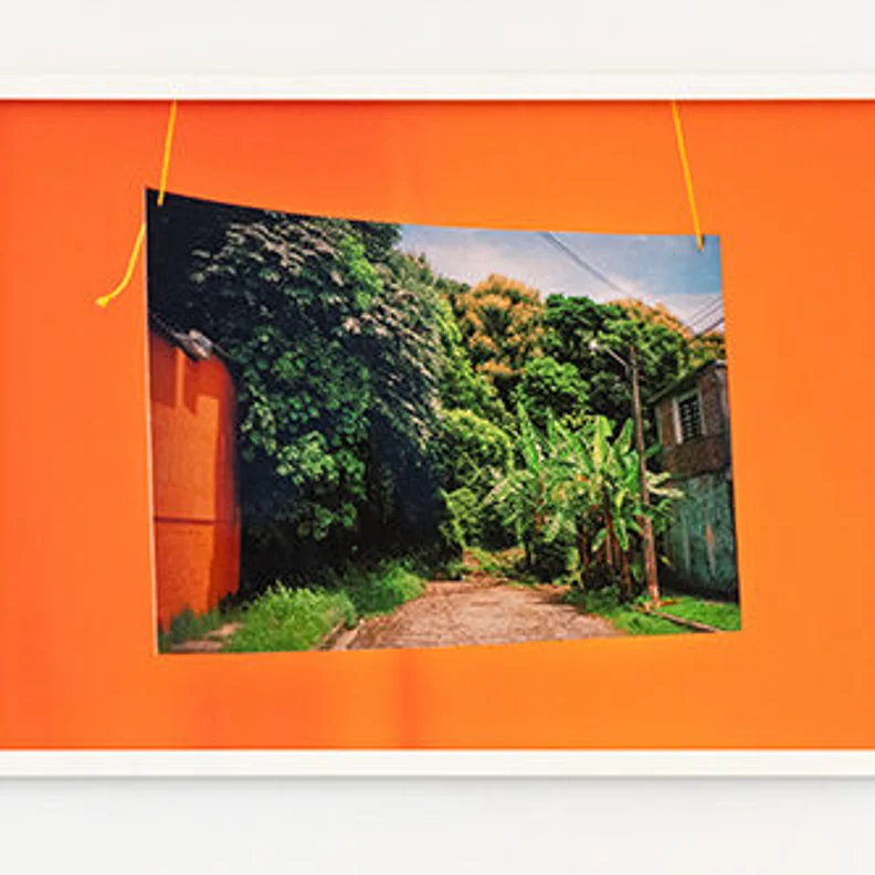 Weingarten Art Group rotating installation at Houston Endowment Inc.