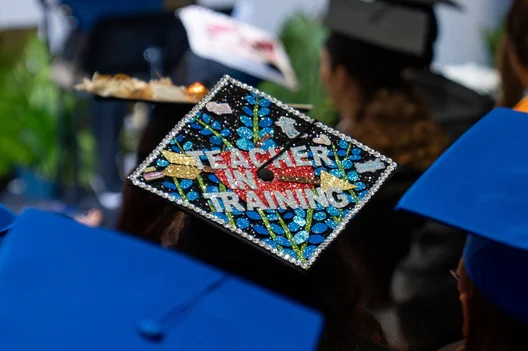 69bb0d1c33091 image 1