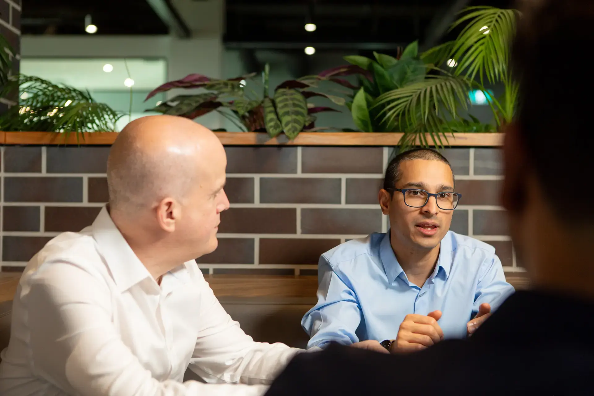 Majestic Team Introducing CEO Tal