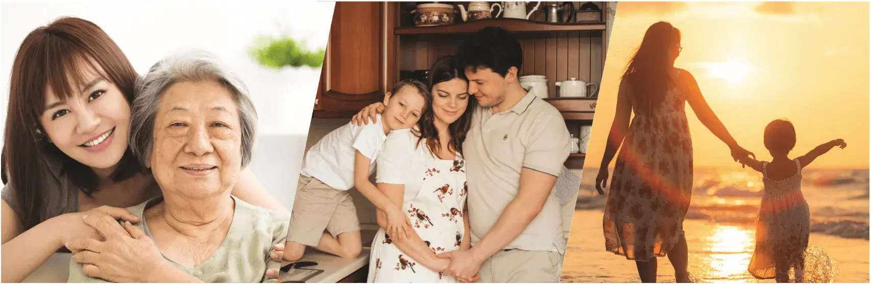 Extract from PHH Annual