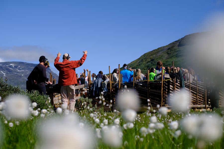 Gruppe mennesker samlet utendørs i et fjellandskap under klar blå himmel. I forgrunnen blomstrer hvite blomster i grønt gress. Midt i bildet står folk ved tregjerder, og én person i rød jakke løfter armene, som om de leder en aktivitet eller snakker til gruppen. I bakgrunnen stiger fjellsiden med flekker av snø og vegetasjon, og gir en vakker og naturnær ramme rundt samlingen.