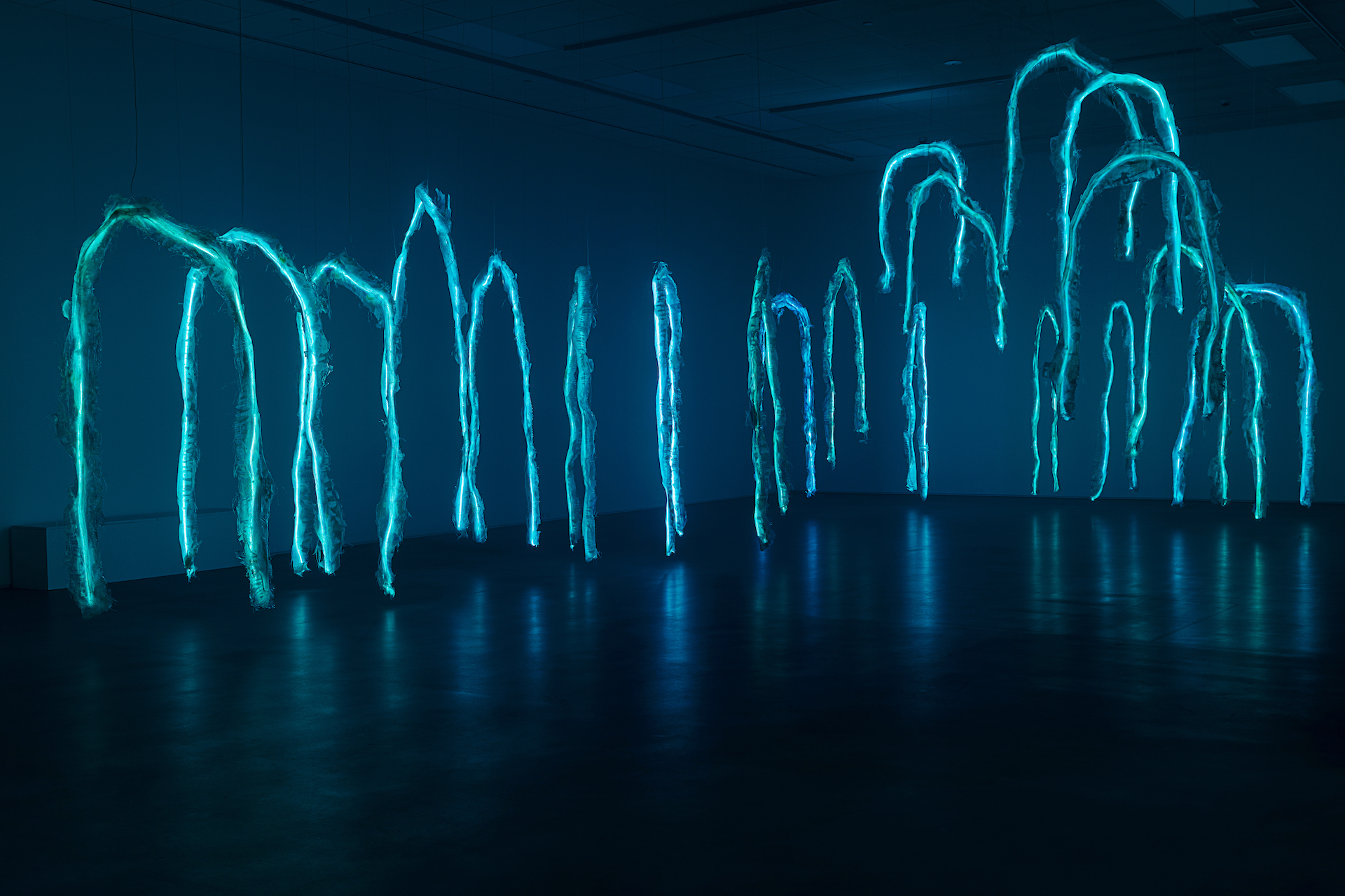 En kunstinstallasjon i et mørkt rom viser flere vertikale strukturer med lysende blå tråder som henger fra taket og bøyer seg lett nedover. Lysstrålene minner om vannstrømmer eller fiberoptiske kabler, og skaper et dynamisk og flytende uttrykk. Den sterke kontrasten mellom det blå lyset og det mørke rommet gir en futuristisk og drømmende stemning. Installasjonen fyller rommet og inviterer til visuell utforskning og sanselig opplevelse.