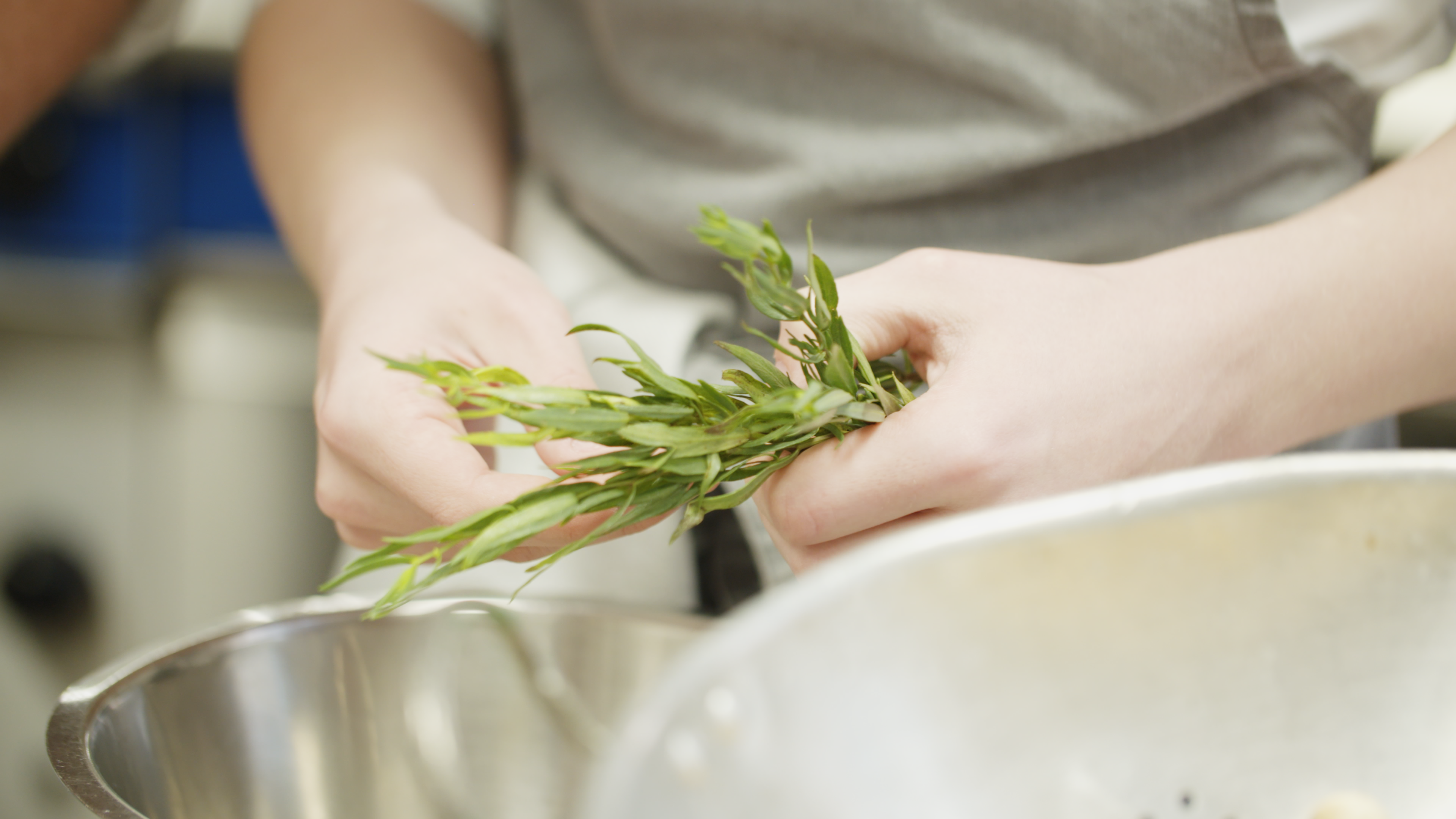 A close up of a pair of hands holding some herbs above a metal mixing bowl.