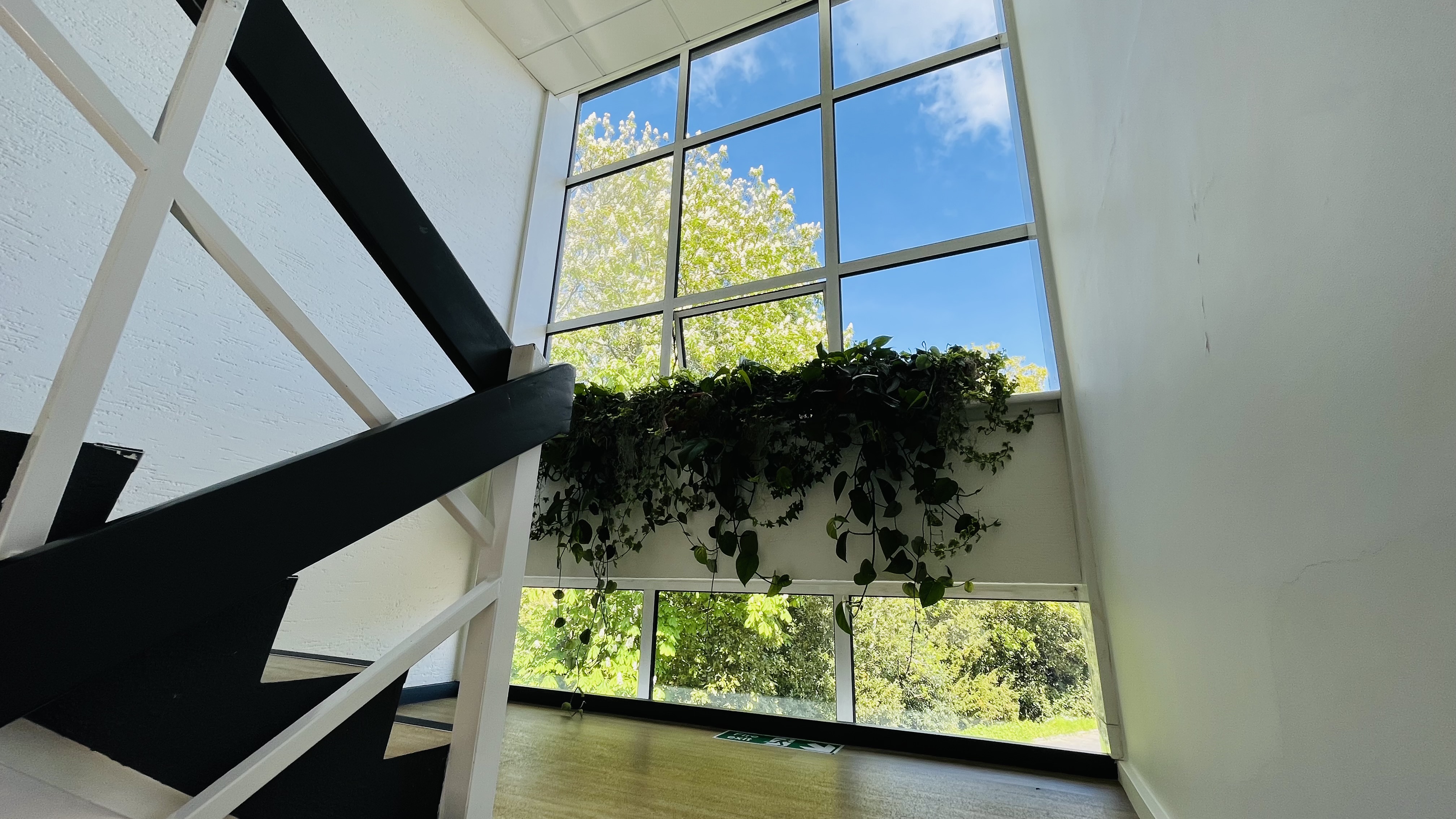 Professional - Staircase