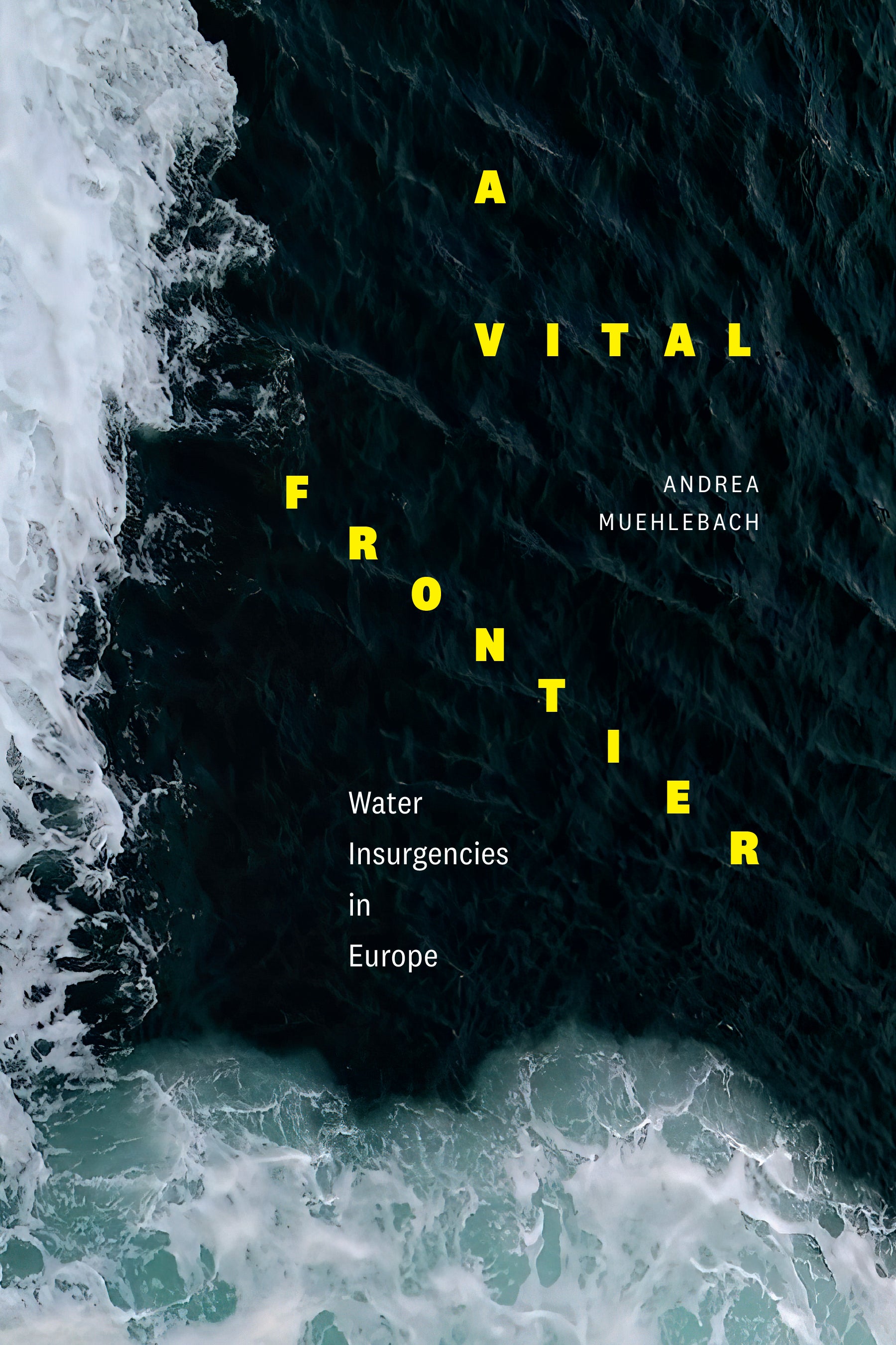 #11 Water justice, activism, and the Rights of Nature movement w/Andrea Muehlebach