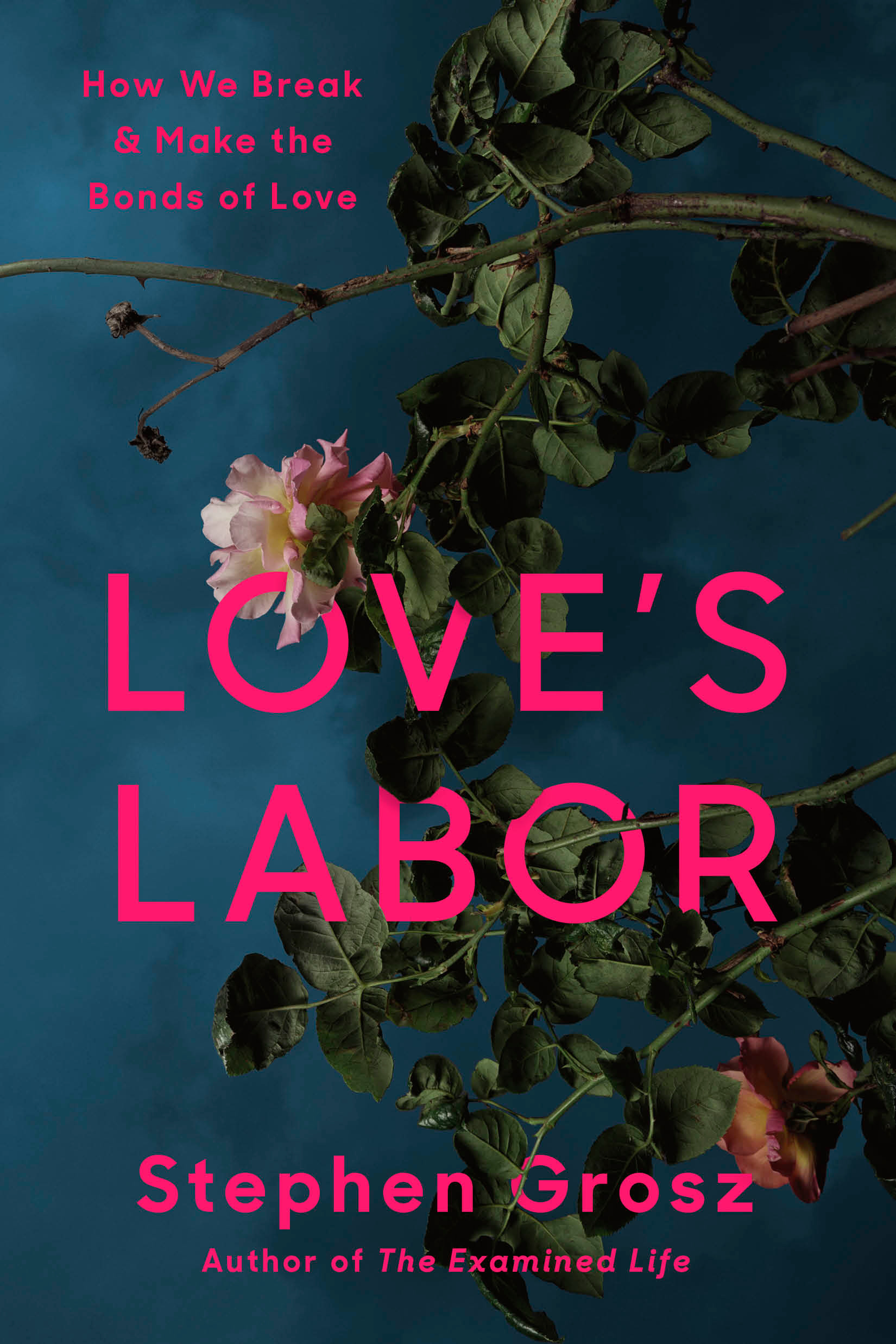 Stephen Grosz, "Love's Labour: How We Break and Make the Bonds of Love" (Vintage, 2026)
