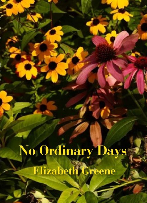 Elizabeth Greene, "No Ordinary Days" (Ekstasis Editions, 2025)