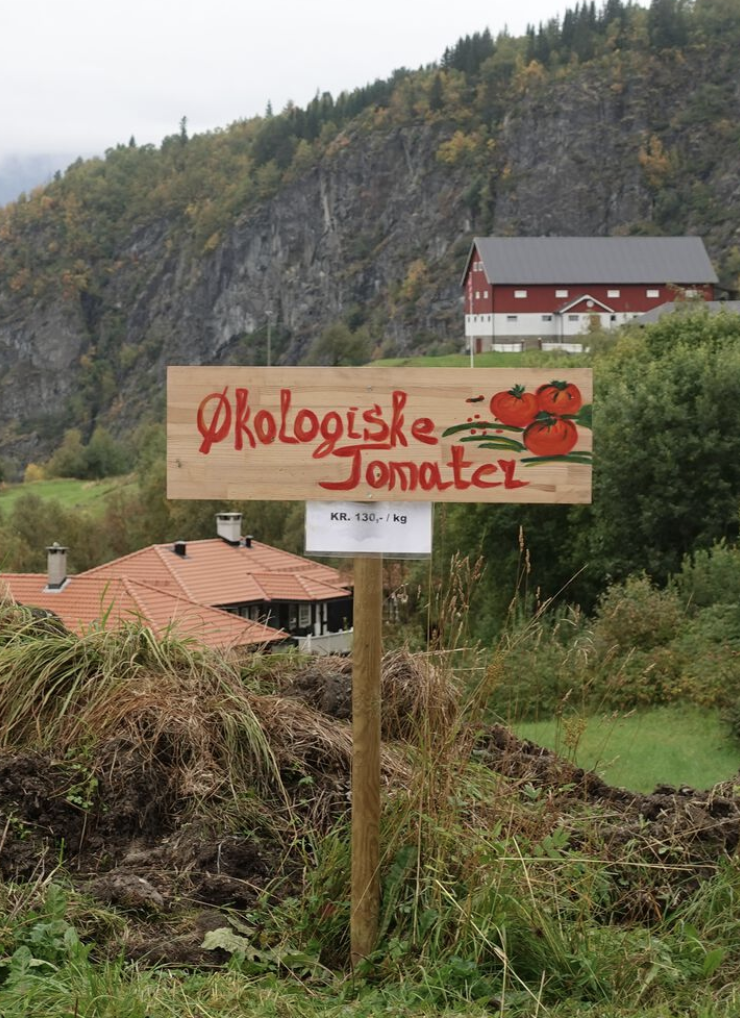 “Rurality 2.0”: How City Migrants are Reshaping Norway’s Rural Regions with Tom Bratrud