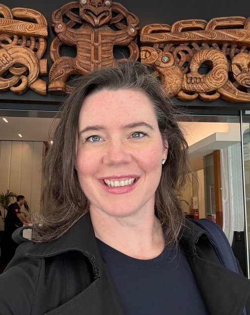 Hilary Allen, "Fintech Dystopia: A Summer Beach Read about Silicon Valley Ruining Things" (2025)