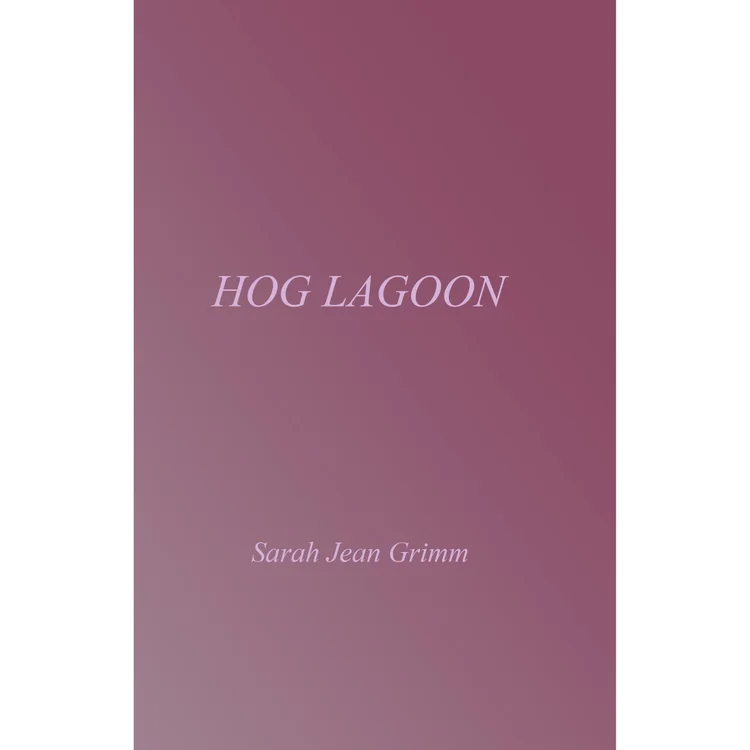Sarah Jean Grimm, "Hog Lagoon" (blush, 2023) and "Soft Focus" (Metatron, 2017)