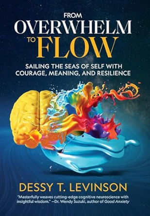 Dessy T. Levinson, "From Overwhelm to Flow: Sailing the Seas of Self with Courage, Meaning, and Resilience" (Crate Mind, 2025)