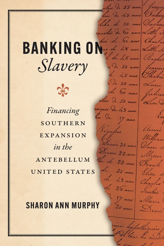 Financial Institutions and Enslavement