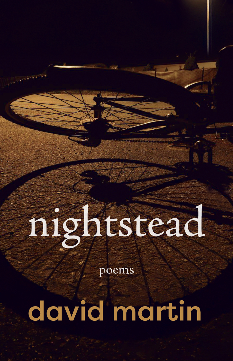 David Martin, "nightstead" (Palimpsest Press, 2026)