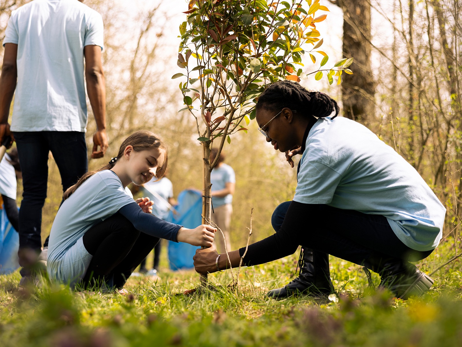 Apply for a Volunteer Project
