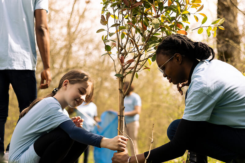 Community giving pillar environment