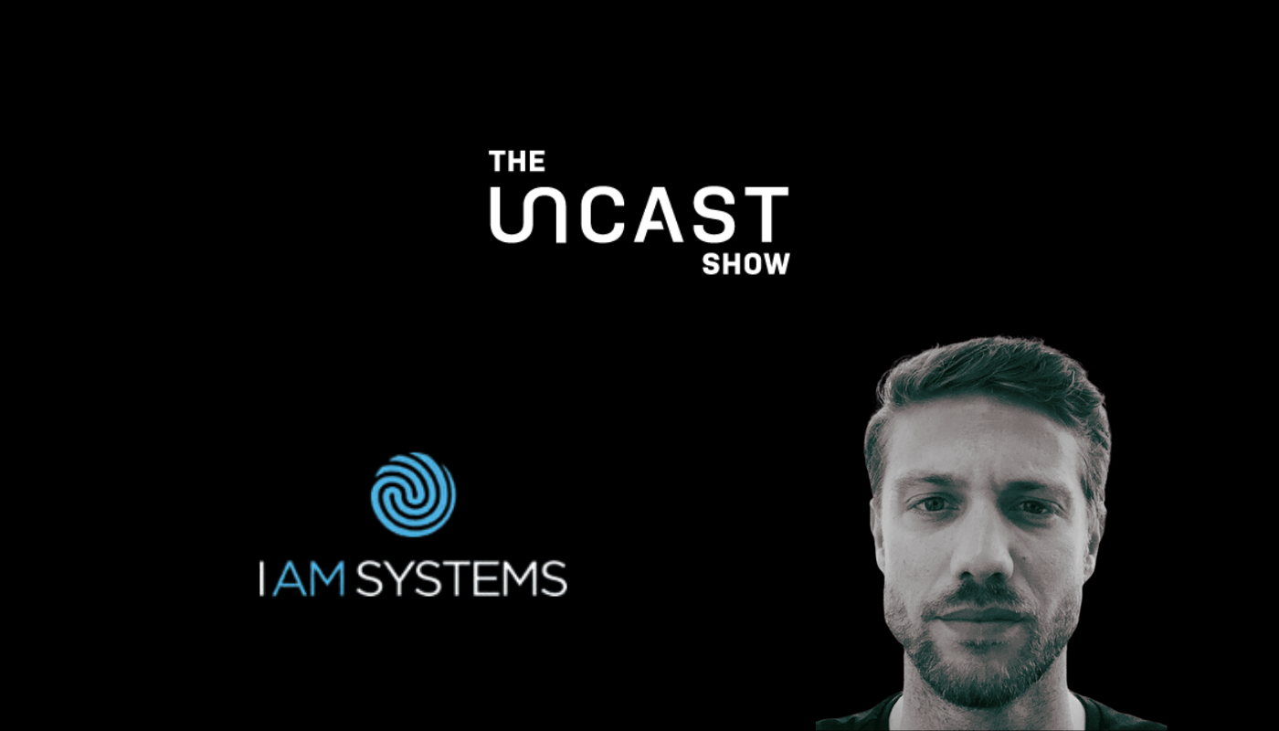 IAM Systems 1