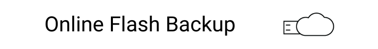 Online Flash Backup