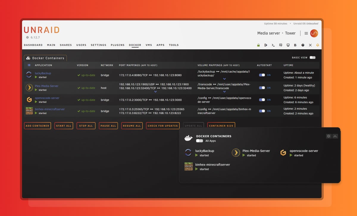 Unraid Docker container management interface