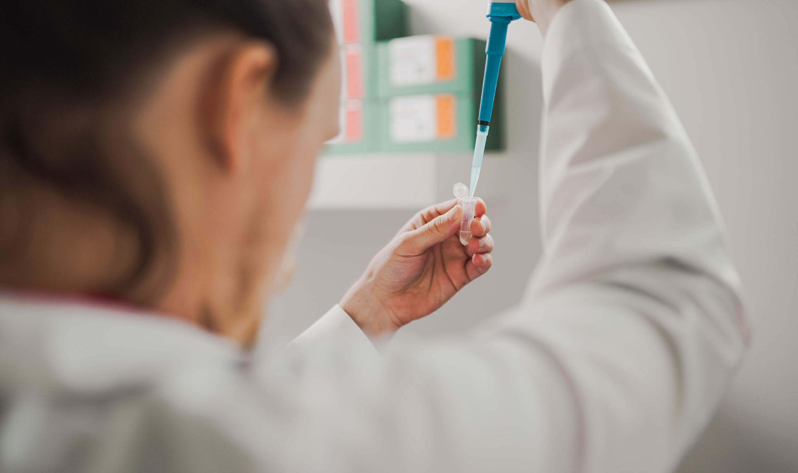 Anchor Ingredients Quality