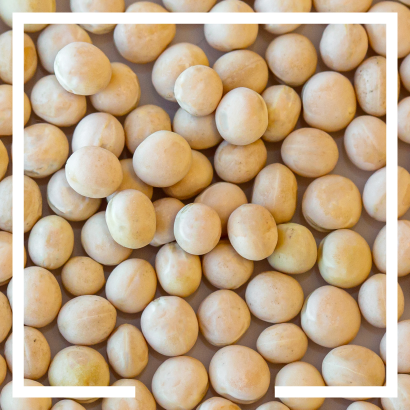 Anchor Ingredients Specialty Grains Yellow Peas