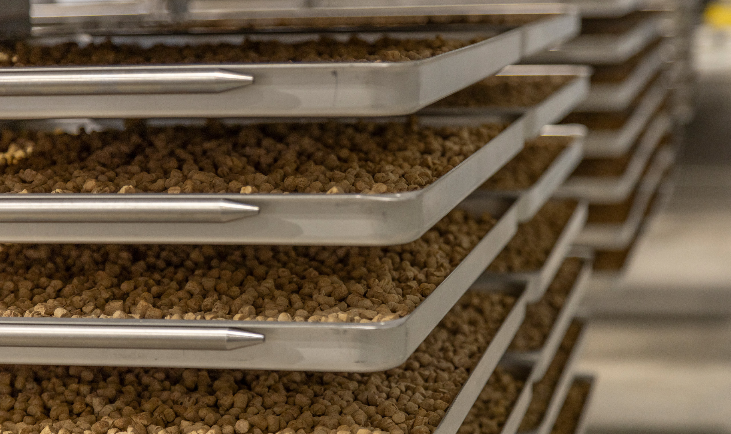 Anchor Ingredients Services Hero