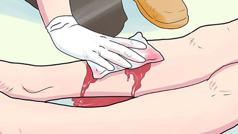 12744258 1075089875854810 2154718821162453965 n