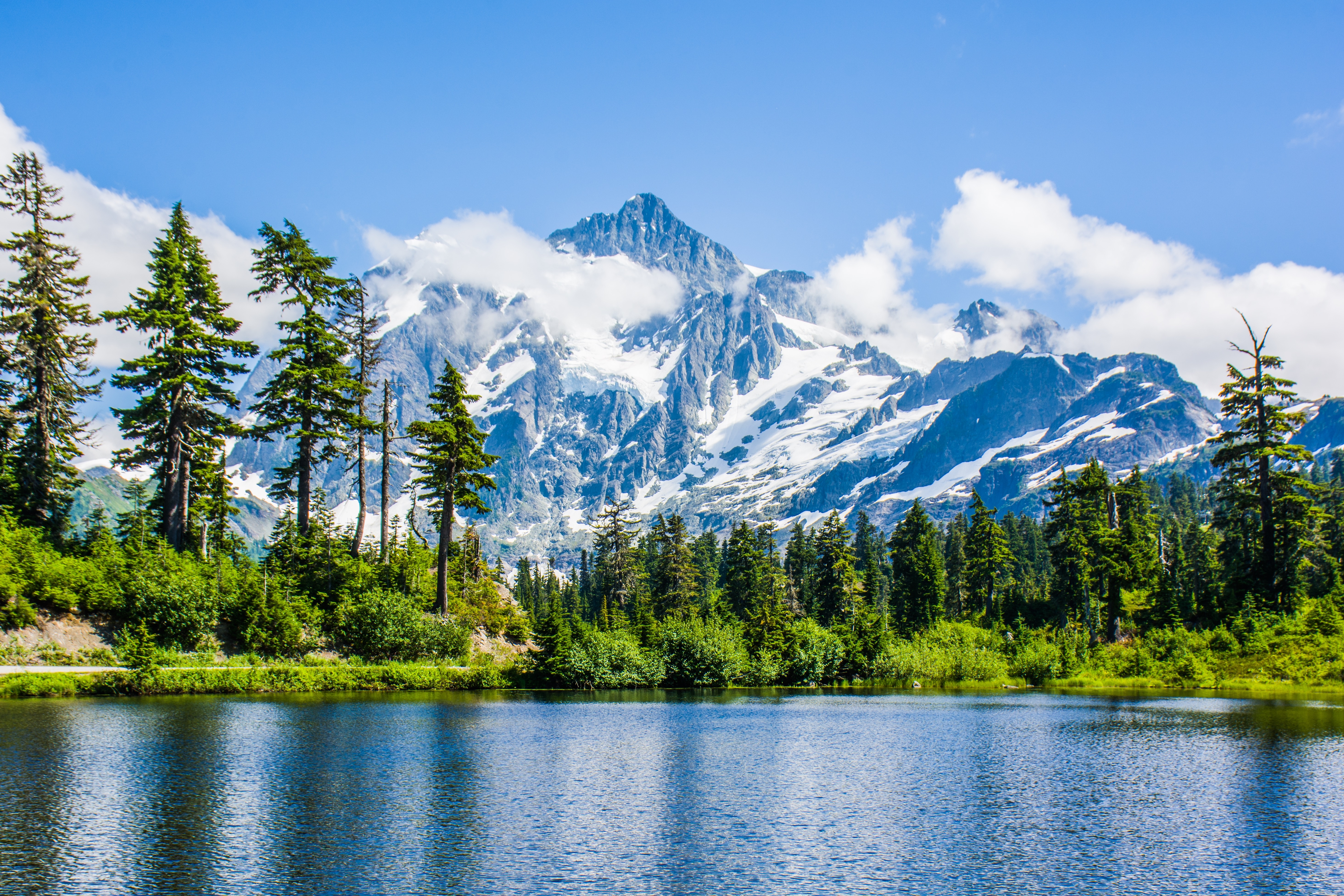 Adobe Stock 171561353