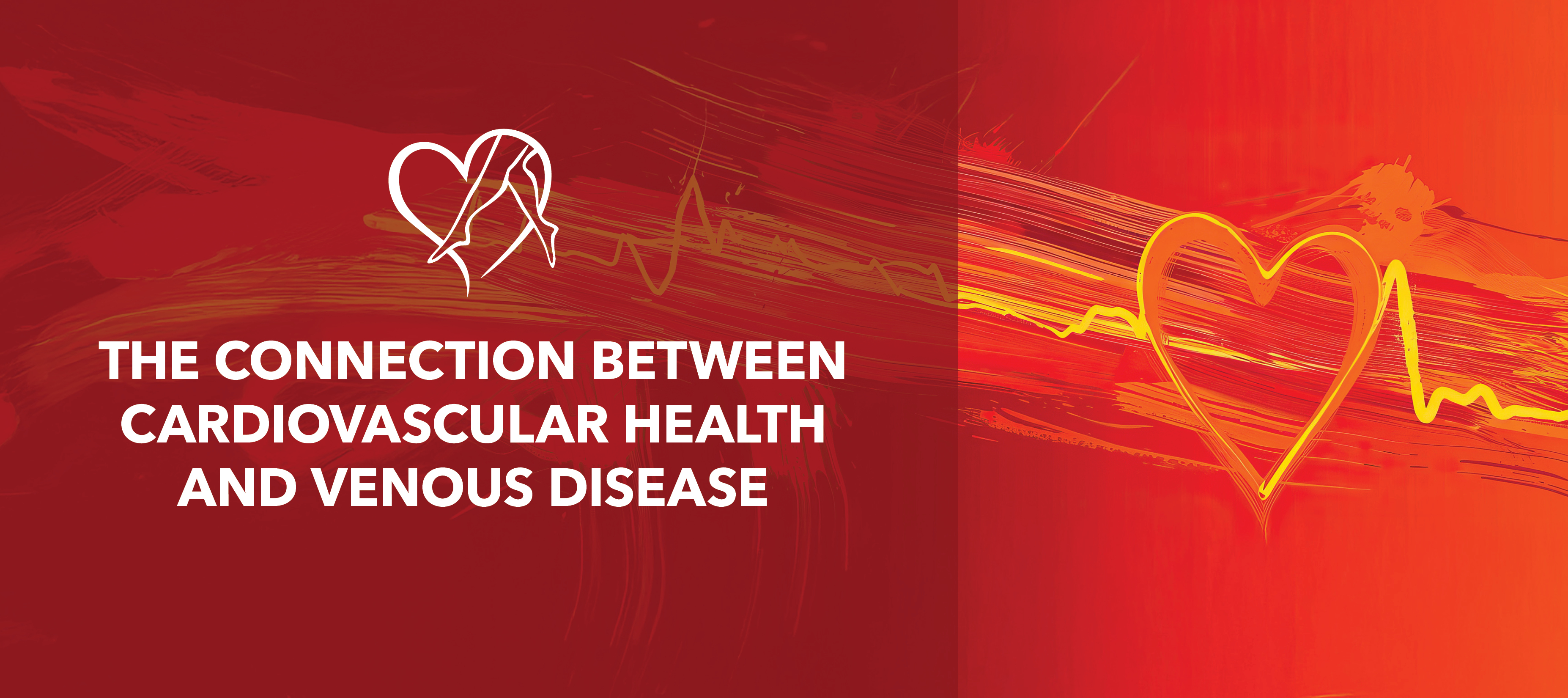 Blog Image The Connection Between Cardiovascular Healthand Venous Disease